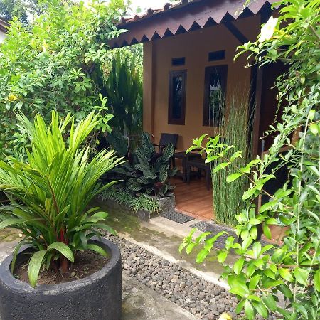 בניוואנגי Juda Homestay מראה חיצוני תמונה