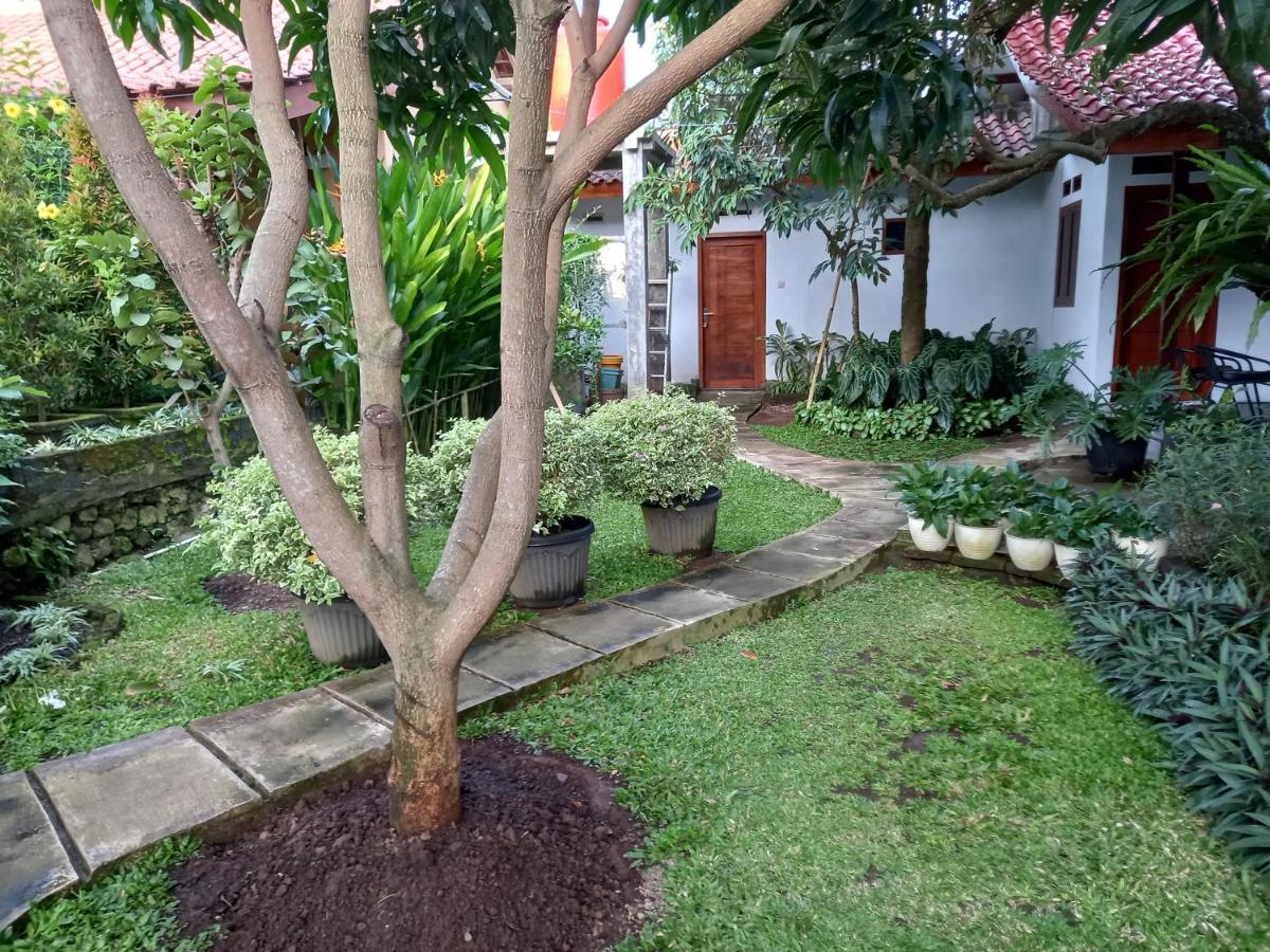 בניוואנגי Juda Homestay מראה חיצוני תמונה