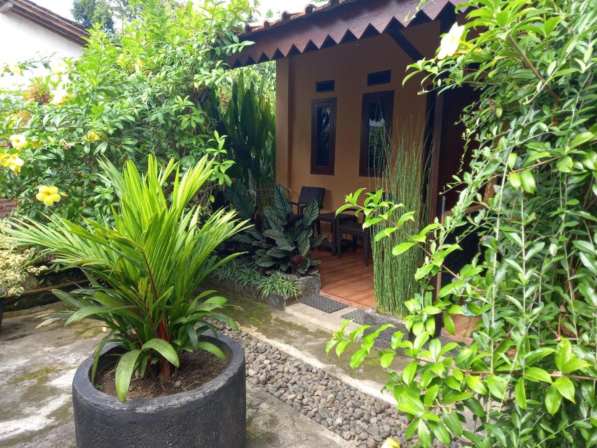 בניוואנגי Juda Homestay מראה חיצוני תמונה