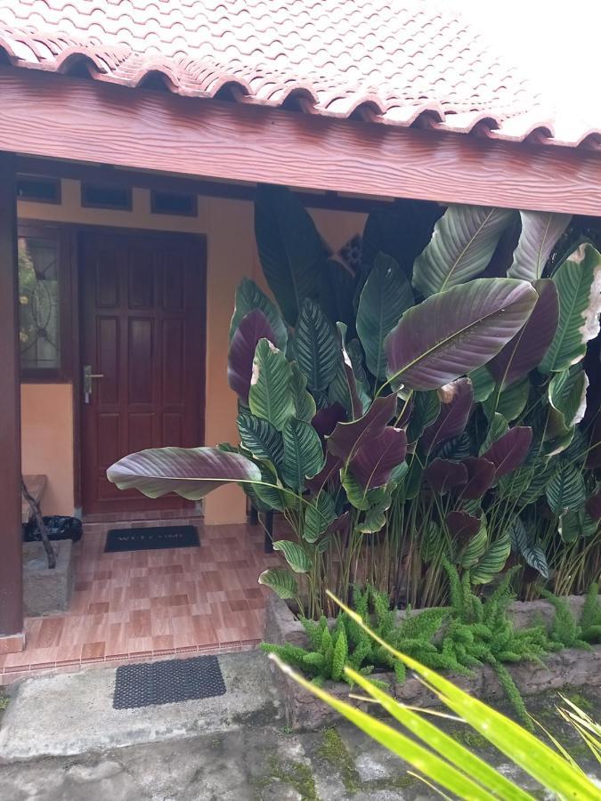 בניוואנגי Juda Homestay מראה חיצוני תמונה
