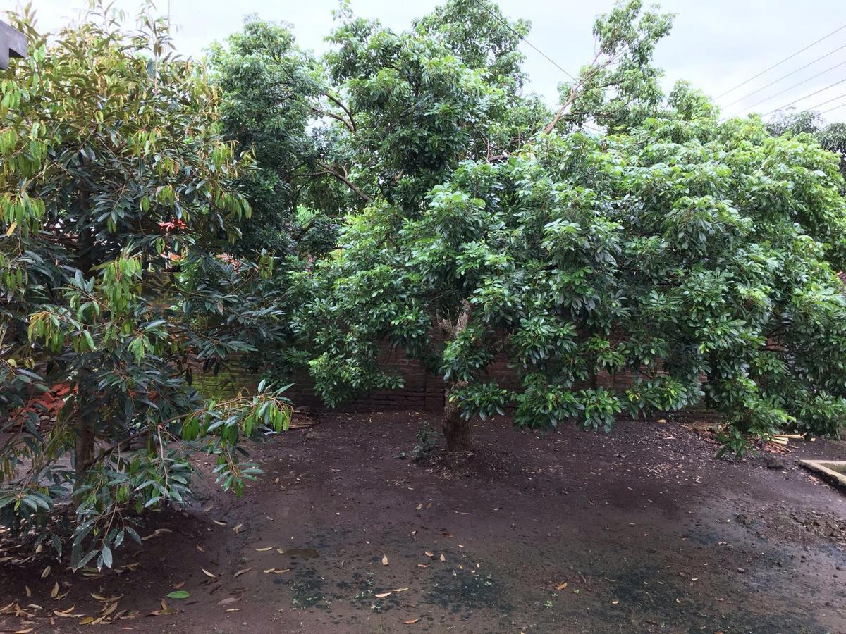 בניוואנגי Juda Homestay מראה חיצוני תמונה
